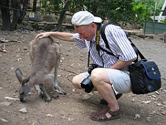 050 Cairns Tropical Zoo